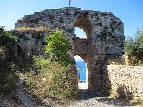 Koroni