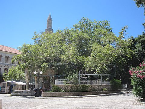 Kos-Stadt