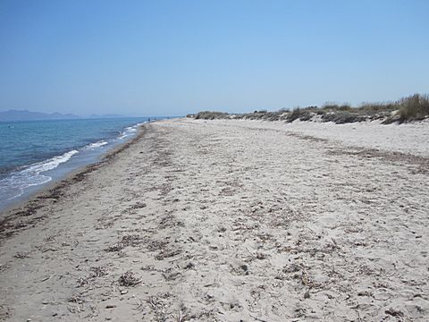 Marmari Beach