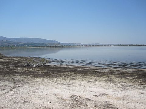 Tigaki Salzsee