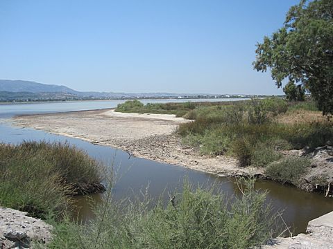 Tigaki Salzsee