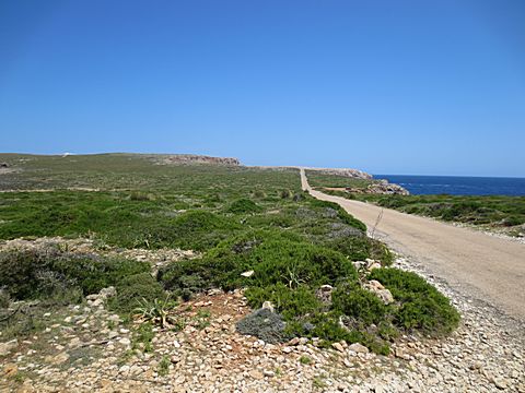 Cap de Cavalleria