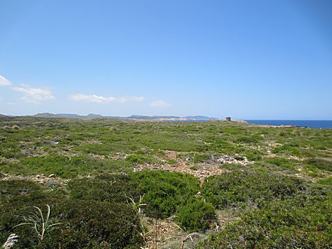 Cap de Cavalleria