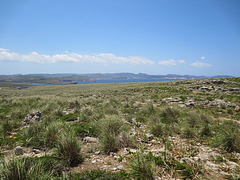 Cap de Cavalleria