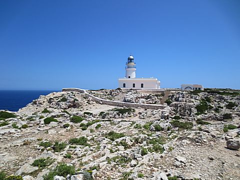 Cap de Cavalleria