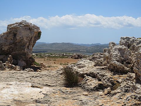 Cap de Cavalleria