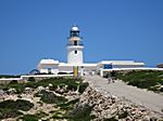 Cap de Cavalleria