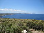 Cap de Cavalleria