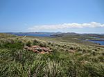 Cap de Cavalleria