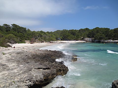 Cala en Turqueta