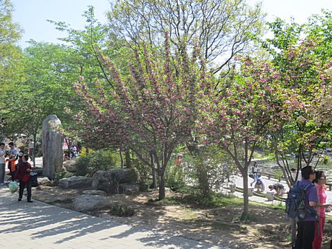 Yuyuantan Park