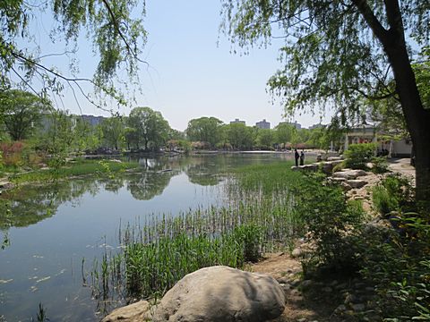Yuyuantan Park