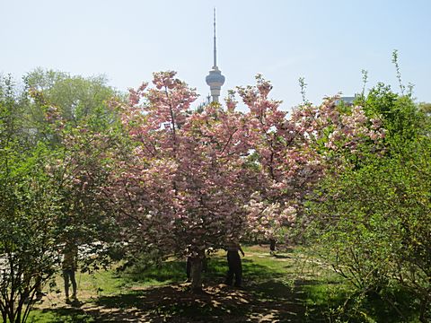 Yuyuantan Park