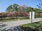 Yuyuantan Park