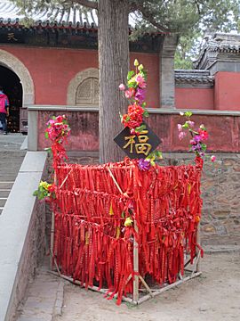 Badachu Park