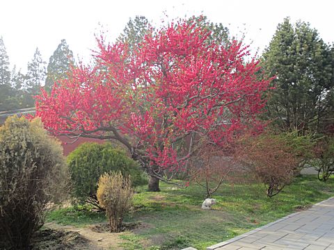 Bei Hai Park