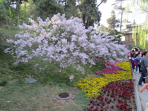 Bei Hai Park