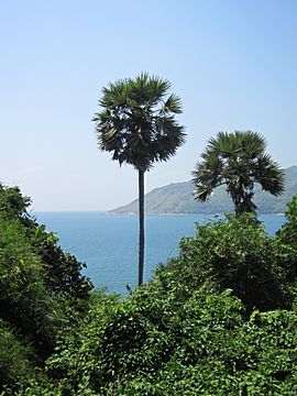 Laem Phrom Thep