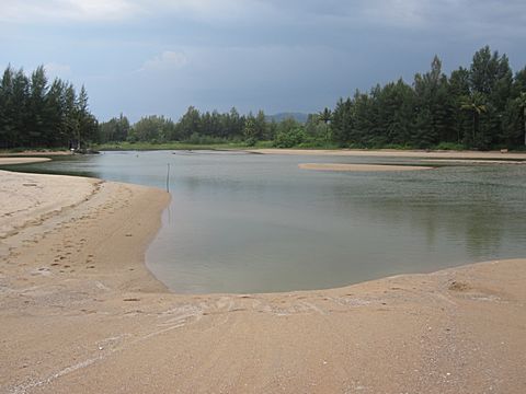 Bang Niang Beach