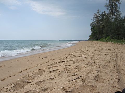 Bang Niang Beach