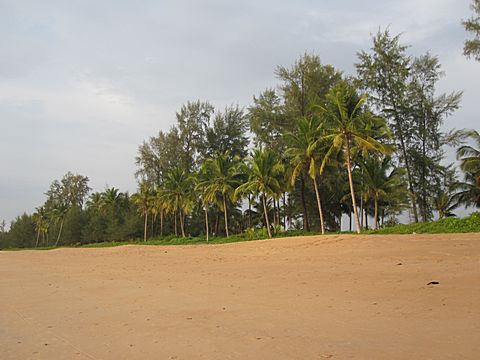 Bang Niang Beach