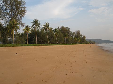 Bang Niang Beach