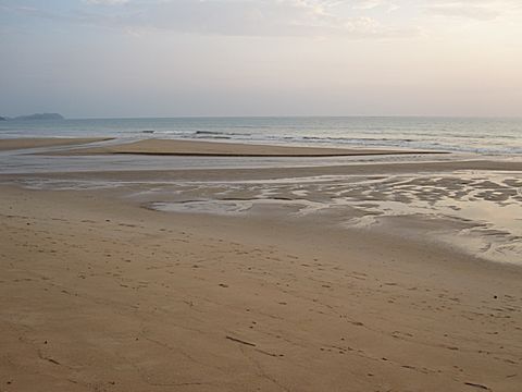 Bang Niang Beach