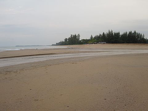 Bang Niang Beach