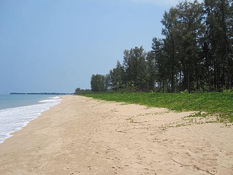 Bang Niang Beach