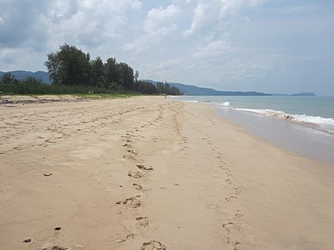 Bang Niang Beach