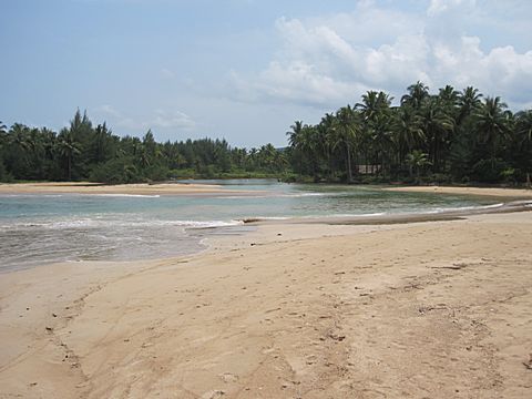 Bang Niang Beach