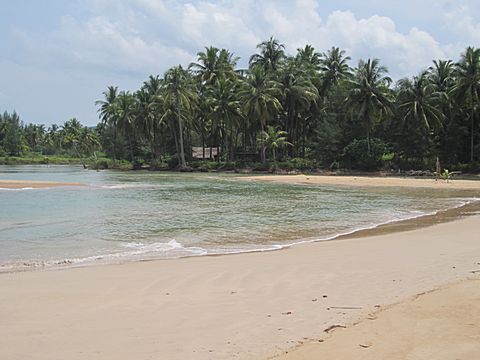 Bang Niang Beach