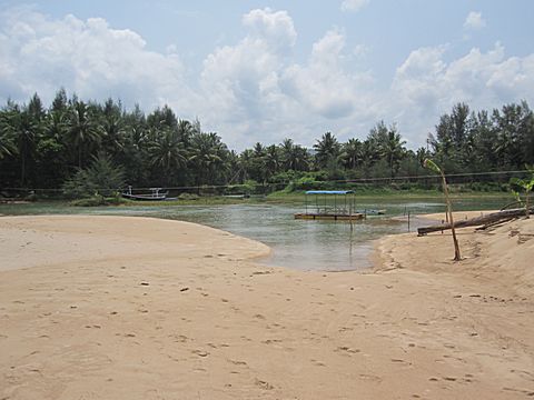 Bang Niang Beach