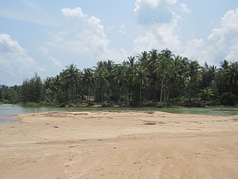 Bang Niang Beach