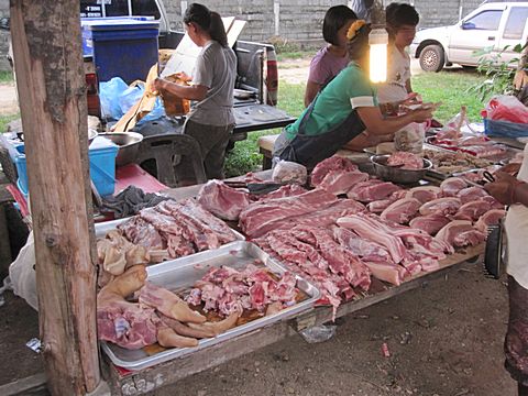 Bang Niang Market