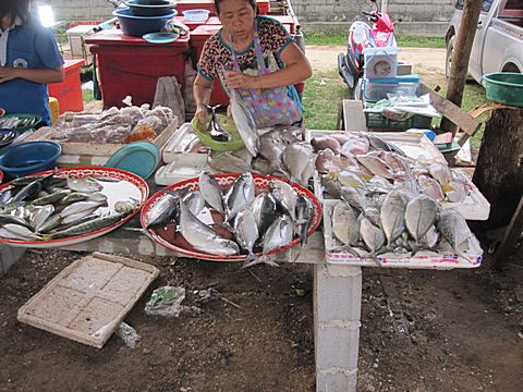 Bang Niang Market